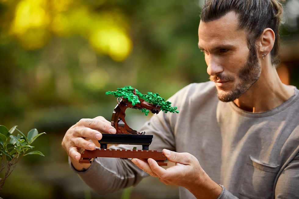 Thumbnail: LEGO Creator Bonsai Tree 10281