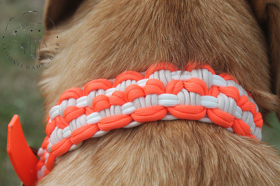 Miniaturbild: Halsband "Heart 2 Heart"