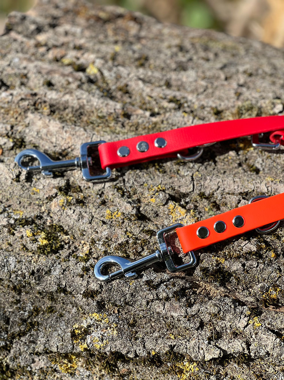 Miniaturbild: Individuelle Biothaneleine