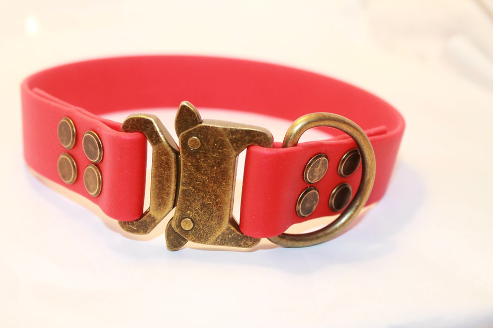 Miniaturbild: Individuelles Biothane Halsband