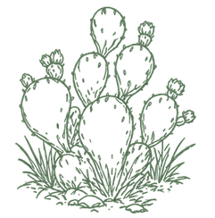 nopal-remedios-green