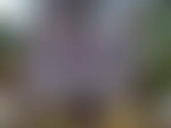 La pequeña Italia en México