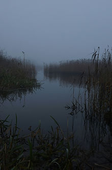 The river i fog._edited.jpg
