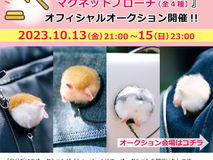 「ひょっこりハムケツ マグネットブローチ」オフィシャルオークションを開催します🐹