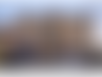 Is the Paycheck Protection Program Working?