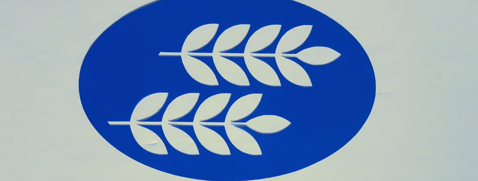 שבלונת אלפיסה