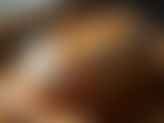 לחם מחמצת טרי