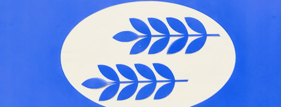 שבלונה אליפסה עם עלים