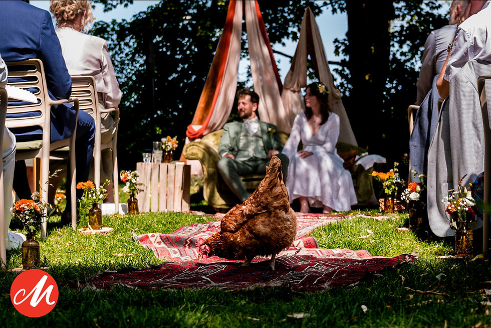Een festivalwedding met kippen tijdens de ceremonie