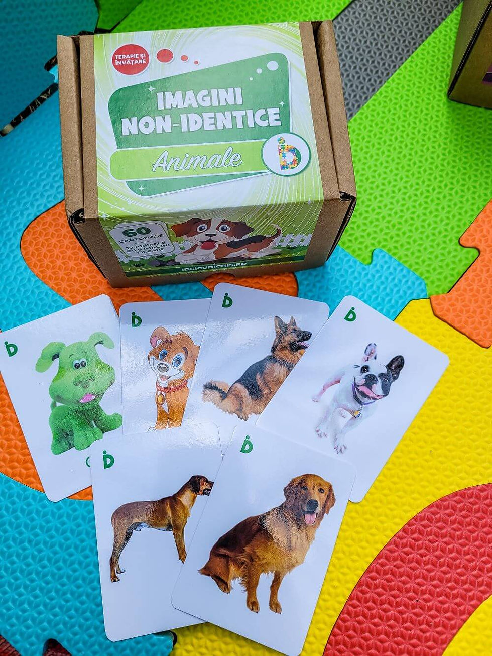 Miniatură: ANIMALE - Asocieri Imagini Non-Identice
