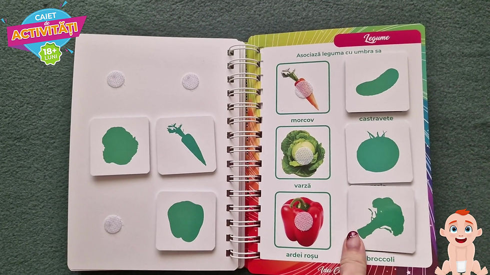 Miniatură: Activitati Bebe 18 luni+