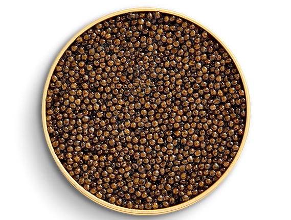 Sevruga Kaviar – frischer Luxus-Kaviar in Hamburg bei Bottega Fina