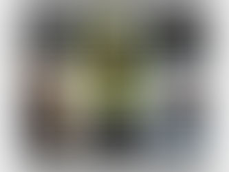 Review Paw Prints on My Heart Pet Memorial Ceramic Ornament