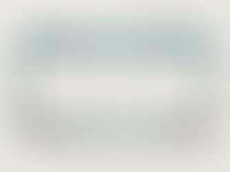 Big Deals! Miami Customizable License Plate Frame