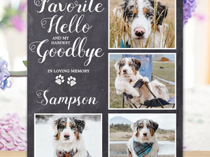 Top 5! Pet Memorial Personalized Keepsake Photo Collage Plaque