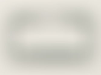 Big Deals! Add Logo Business Name and Website Corporate License Plate Frame