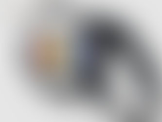 Top 10! Pride in Watercolor Retractable Pet Leash