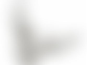 Review Flying Dove Ornament