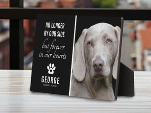 Top 10! Loyal Dog No Longer By Our Side | Photo Keepsake Plaque