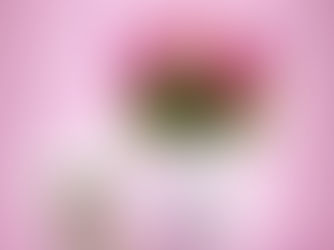 Best Price! Peony Bliss Porcelain Pitcher