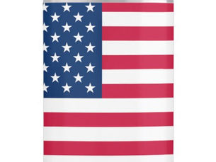 Top 10! USA Flag Flask United States of America