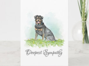 Best Price! Dog Sympathy Card - Rottweiler Dog Sympathy