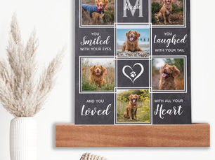 Review Rustic Pet Memorial Keepsake Unique Photo Collage Picture Ledge