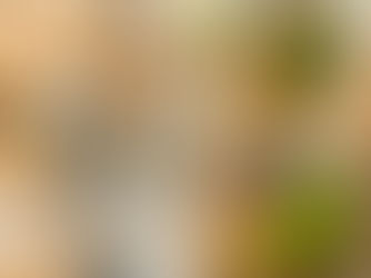 Top 10! Modern Gold Glitter Sparkles Personalized Name Shot Glass