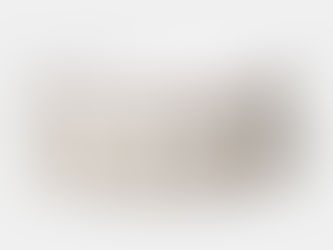 Top 10! White Gold Floral Ceramic Pet Bowl