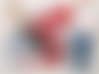 Best Price! Volleyball 🏐 in a Red, White and Black Fleece Blanket