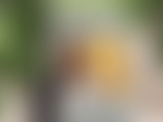 Big Deals! World's Best Aunt Custom Photo Rustic Gray Wood Plaque