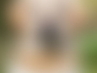 Best Price! Orange And White Polka Dots With Bone & Name Pet Collar