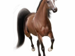 Hot Deals! Trotting Arabian Horse Ornament