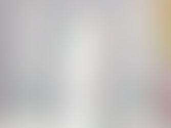 Review Simple Elegant Eucalyptus Greenery Rustic Wedding Unity Candle Set