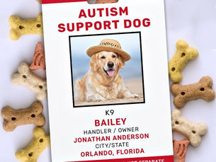 Best Deals! Autism Support Personalized Service Dog Photo ID Badge