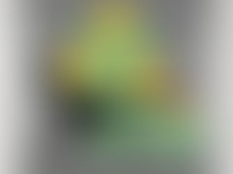 Hot Review! Cacti And Roadrunners Trinket Tray