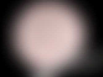 Top 10! Bridal Shower rose gold drips party Paper Bowls