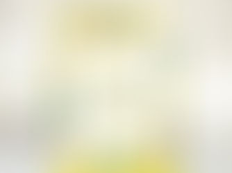 Hot Deals! Modern Yellow Lemons Frame & Leaves With Name Lamp Shade