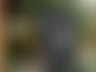 Big Deals! Classic Black & Gray Family Name & Monogram House Flag