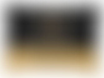 Big Deals! Gold Black Pet Bed