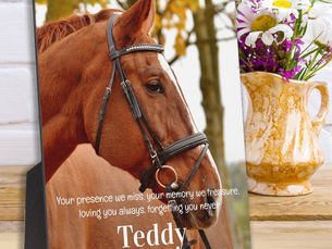 Hot Review! Modern Simple Photo Sympathy Remember Memorial Plaque