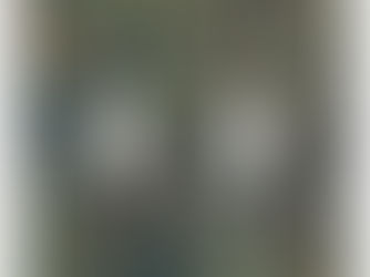 Hot Deals! William Morris Pheasant Bird Tree Botanical Light Switch Cover