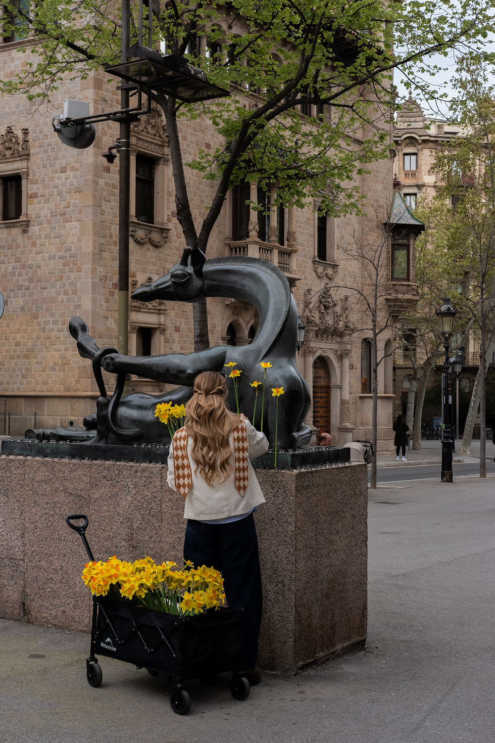 DSCF7829.jpg