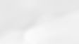 Light Grey Wave Background.jpg