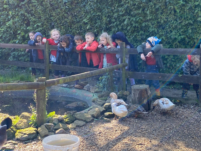 Rugby Free Primary School