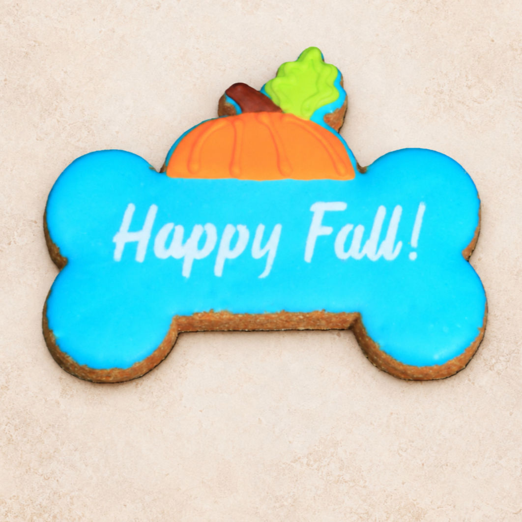 Turquoise Happy Fall bone dog cookie with pumpkin detail, grain-free vanilla treat on a cream background