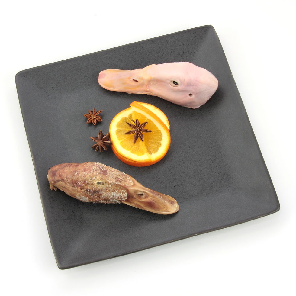 Freeze-dried duck heads for dogs displayed on a black tray with orange slices and star anise