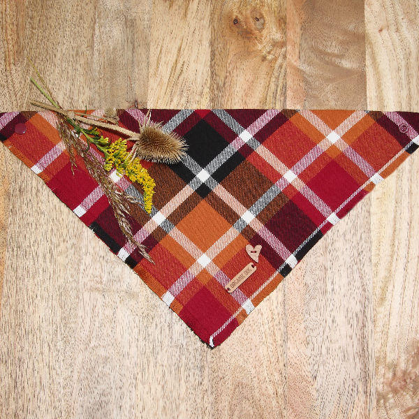 Plaid dog bandana in fall red, orange, and black tones with heart tag, styled with dried grasses
