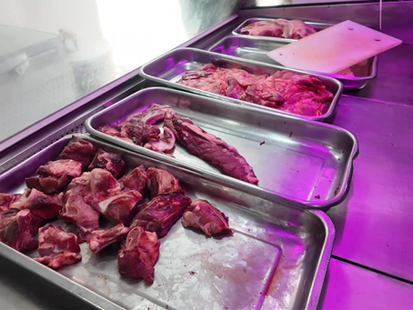 Bello decomisa 84 kilos de carne en mal estado y cierra expendio ilegal