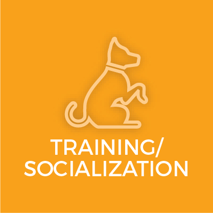 DOGPerfect - The Landings of Sarasota